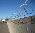 CBT65 5kgs /coil stainless steel razor barbed wire