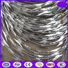 CBT65 5kgs /coil stainless steel razor barbed wire