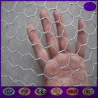 25mm ,50mm  Stainless steel Chicken wire netting , Rabbit Cage Hexagonal Wire Mesh